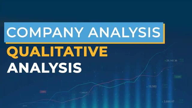 Company Analysis - Qualitative Analysis