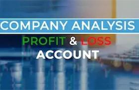 Company Analysis - Profit & Loss Account
