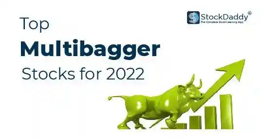Top Multibagger Stocks for 2023