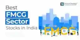 Best FMCG Stocks In India To Invest In 2025